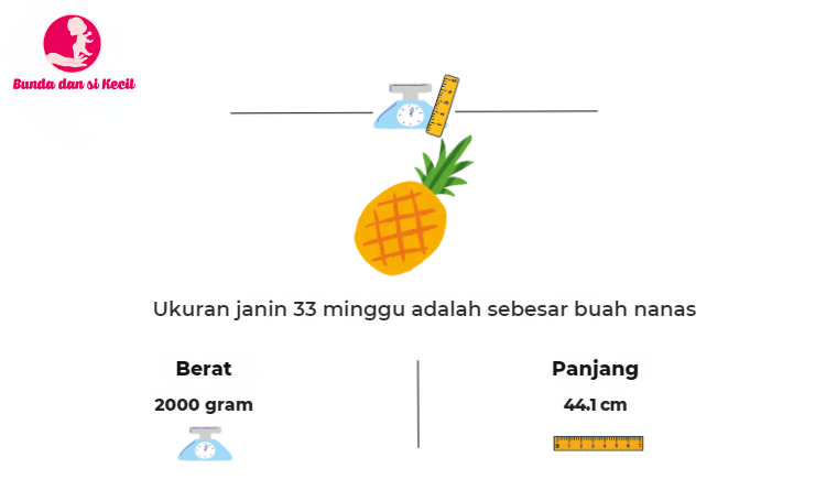 kehamilan 18 minggu, perkembangan janin, perubahan tubuh ibu hamil, kesehatan ibu hamil, Bunda, si Kecil